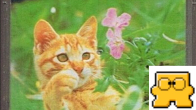 子猫物語ファミコン